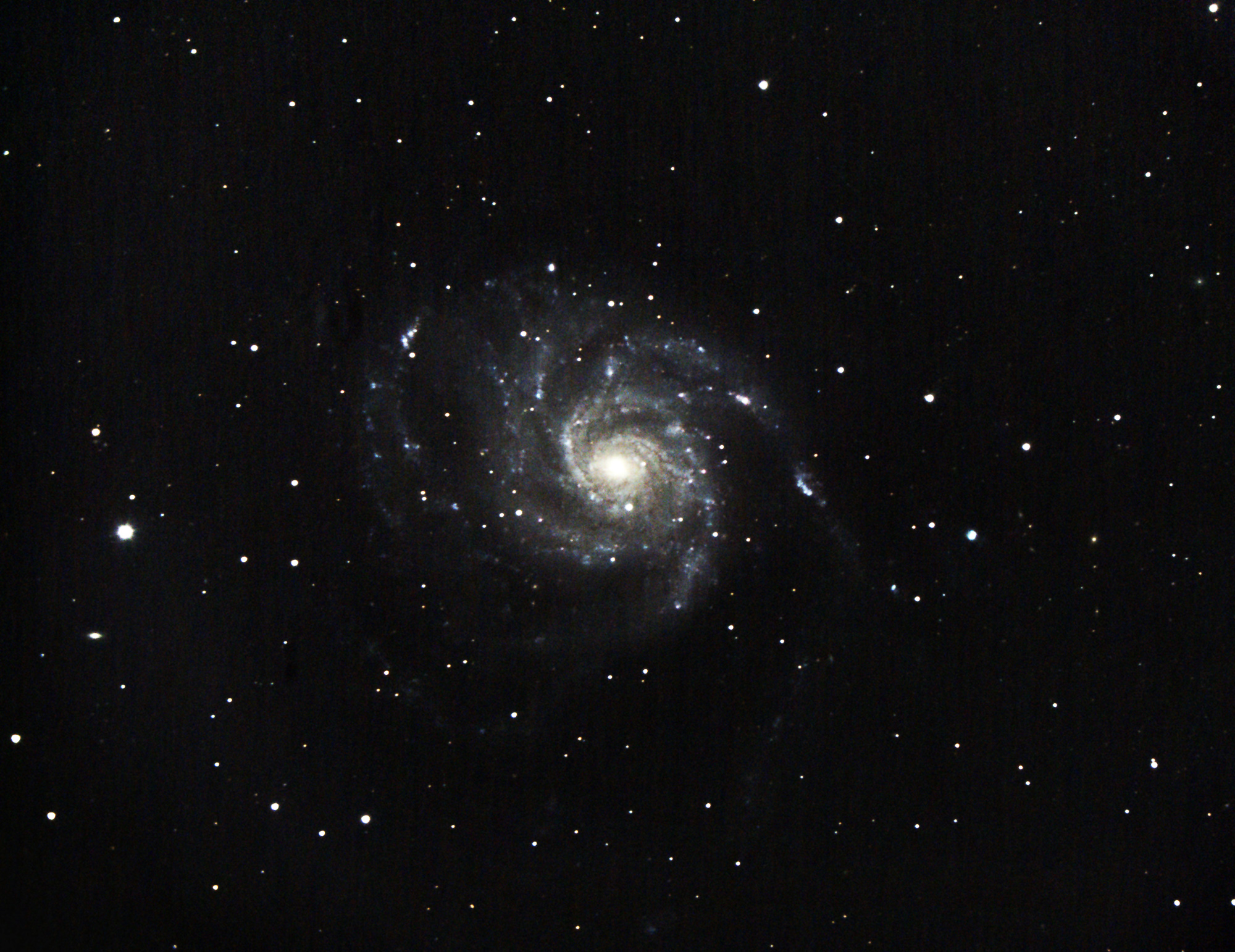 Ken Kennedy. M101 2022 Mar 25. C8 at f6.3 1600 ISO. JPEG GR.